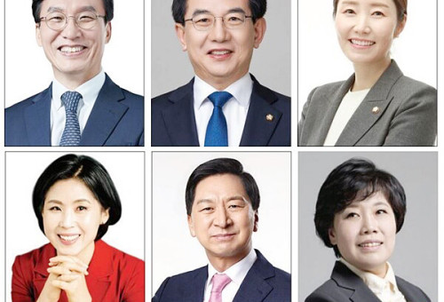(윗줄 왼쪽부터) 김민석(서울 영등포을), 정일영(인천 연수을), 강선우(서울 강서갑), (아랫줄 왼쪽부터) 김미애(부산 해운대을), 김기현(울산 남구을), 조배숙(국민의힘 비례대표) 의원.