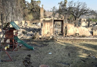 1. LA 알타데나에서 산불로 모두 타고 잔디 마당에 미끄럼틀만 남은 집터