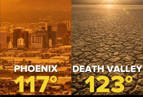 인스타트램 캡쳐