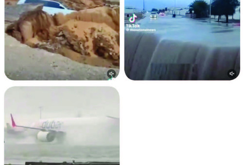 틱톡과 X 계정 영상 캡쳐       @Muy_bien_Y_tu  